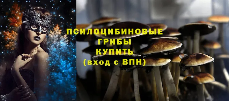 Псилоцибиновые грибы Psilocybe  Скопин 